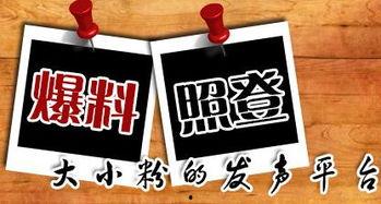 本地新闻爆料入口,揭秘社区最新热点事件